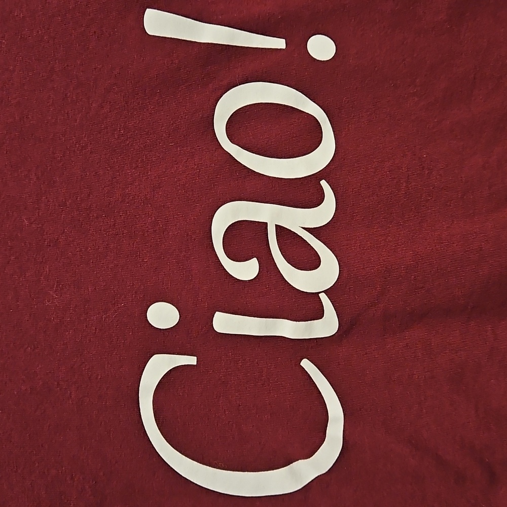 Taste of Italy short sleeve burgundy graphic tee Shirt CIAO! Italy Flag Unisex L - Picture 6 of 6